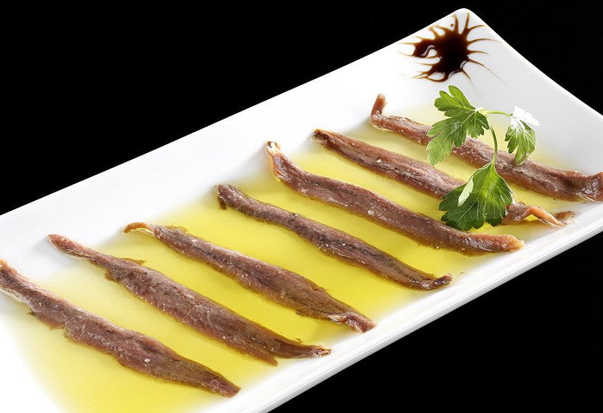 Cantabrian anchovy